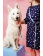 Dog leash with hip belt 3m Countryside