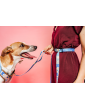 Dog leash with hip belt 3m PAWradise