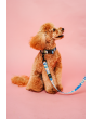 Dog collar MySkylos