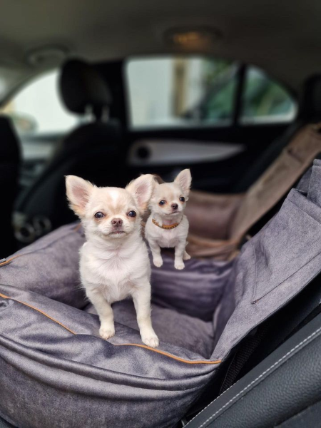 "Ero Soft" dog car seat RECYCLED VELVET GREY size M