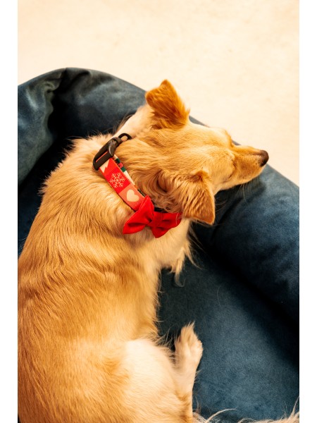 Świąteczna obroża z muszką dla psa Joyful