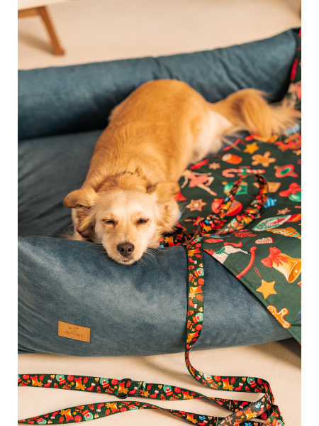 Dog leash JingleBells