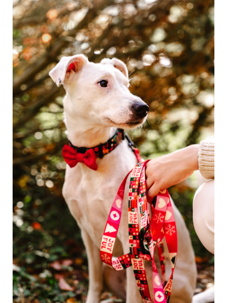 Dog leash JoyFul