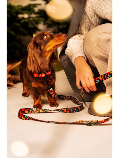 Adjustable dog leash JingleBells