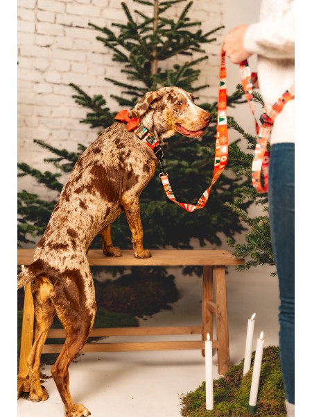 Dog leash with hip belt 3m JoyFul