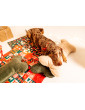 Cube Pillow for Dogs VELVET BOTTLE GREENsize S/M