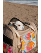 Bag / Airline Pet Carrier Backpack