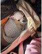 Bag / Airline Pet Carrier Backpack