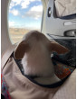 Bag / Airline Pet Carrier Backpack