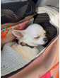 Bag / Airline Pet Carrier Backpack