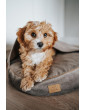 Dog bed round cushion with blanket VELVET DARK BEIGE