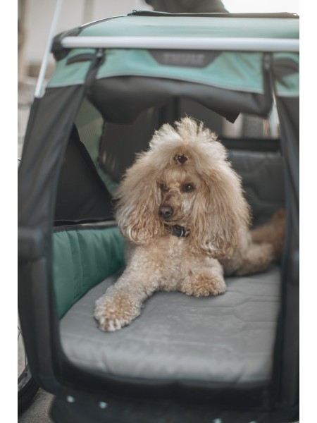 Thule Bexey dog bed