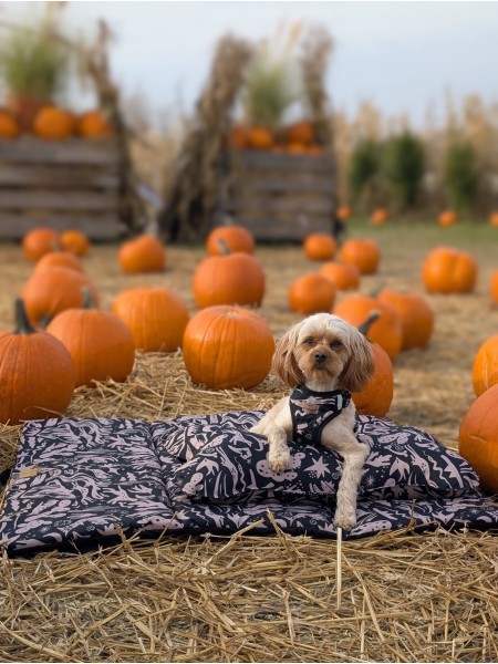 Costa roll-up travel bed WestWOOF story