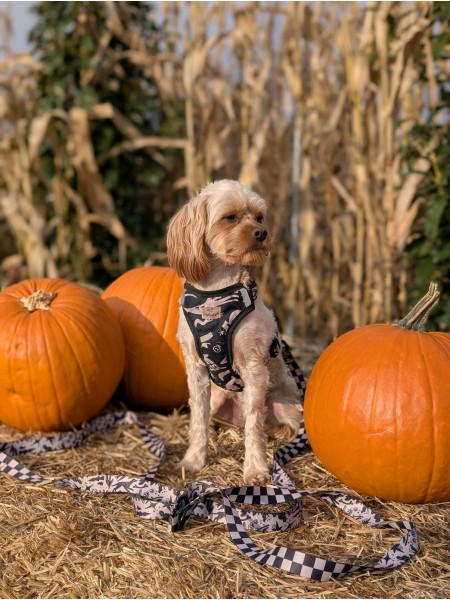 Szelki bezuciskowe dla psa WestWOOF Story