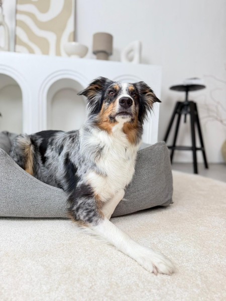 Lilo - orthopedic dog bed FoggyTail