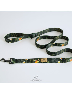 Dog leash Paradise