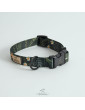 Dog collars PARADISE