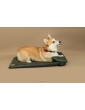 Costa roll-up dog travel bed EMERALD GREEN RECYCLING VELVET