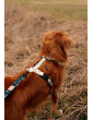 Pressure-free harness for dog COUNTRYSIDE