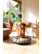 Dog bed round cushion with blanket VELVET DARK BEIGE