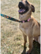 Adjustable dog leash bieGAJ