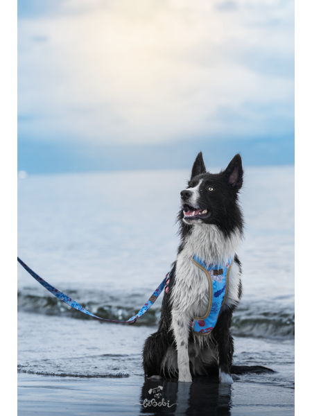 Adjustable dog leash Sea dog