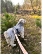 Adjustable dog leash Flower HAUer