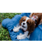 Costa roll-up dog travel bed  VELVET NAVY BLUE