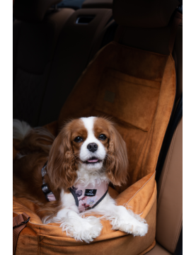 "Ero Soft" dog car seat VELVET water repellent COGNAC size S/M/L WITH SEAT BELT