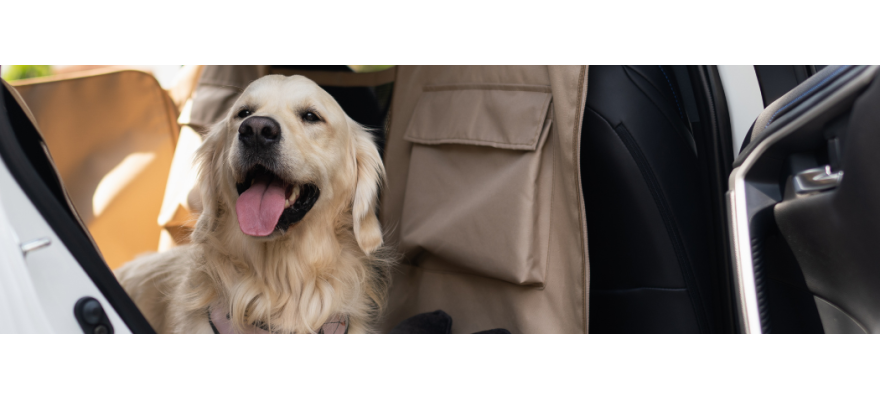Seat covers for dog