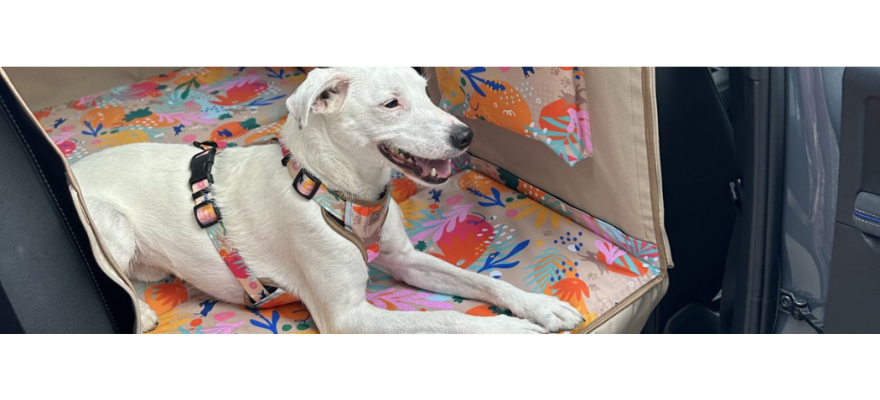 Maty dopasowane do małych aut miejskich (rozmiar S)