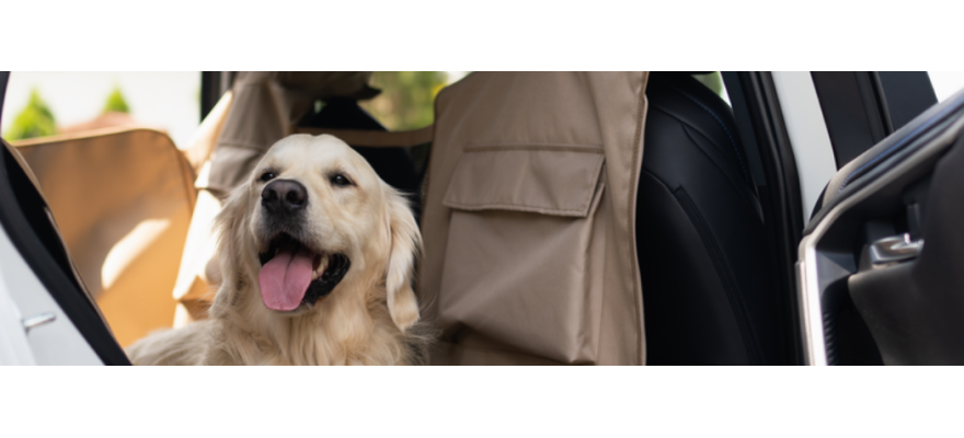 Maty dopasowana do dużych, szerokich samochod&oacute;w (rozmiar L)