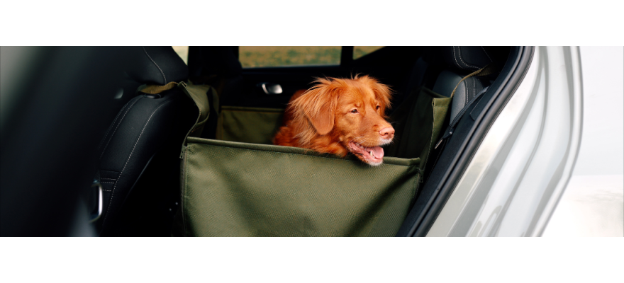 2/3 of the rear seat