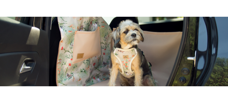 Half of the rear seat