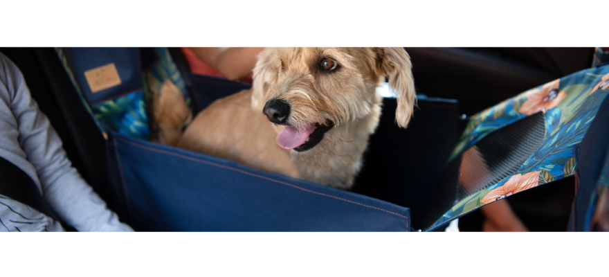 Middle of back seat