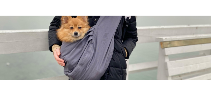 Dog Carrier Bag