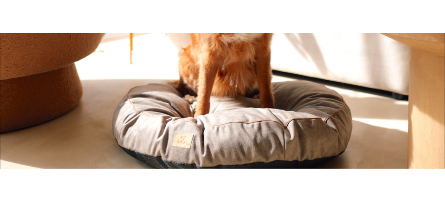 Round cushion with blanket