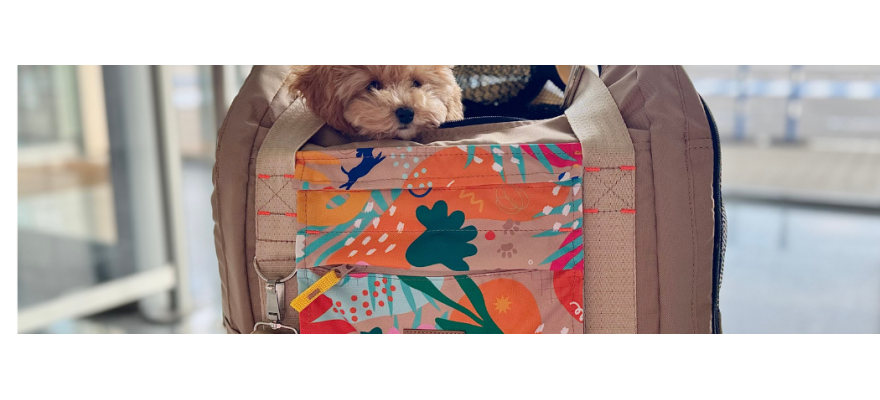 Dog carriers and travel bags